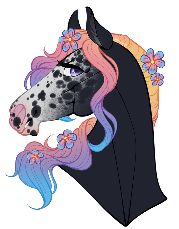 Flat Color Headshot