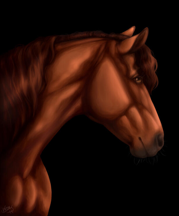 Horse Portrait